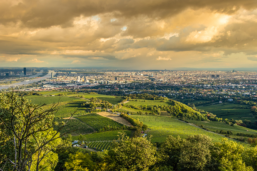 Vienna Woods in Austria